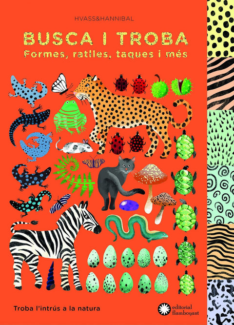  BUSCA I TROBA FORMES, RATLLES, TAQUES I MÉS 