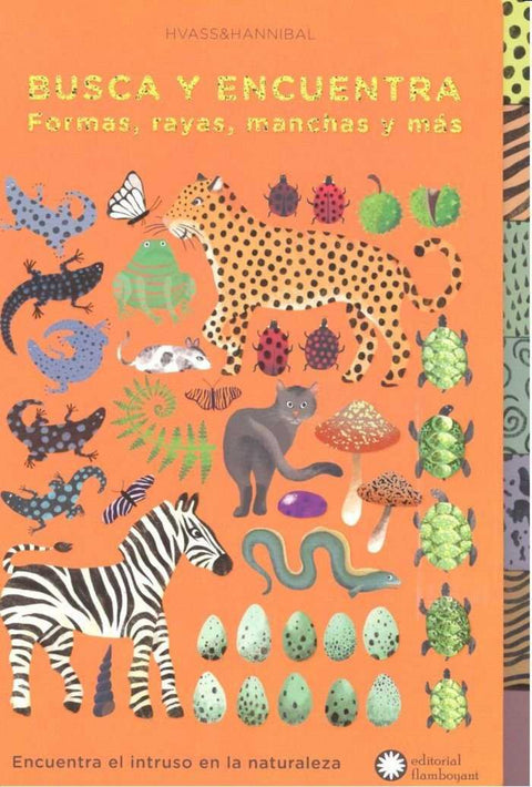  Busca y encuentra formas, rayas, manchas y más 