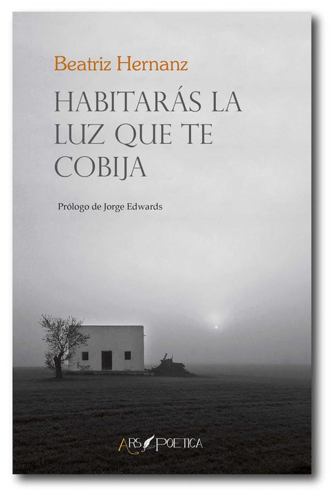  Habitarás la luz que te cobija 