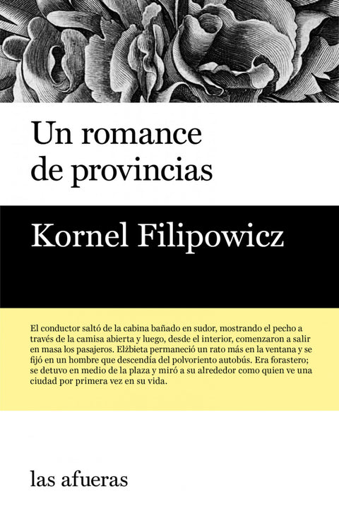  UN ROMANCE DE PROVINCIAS 