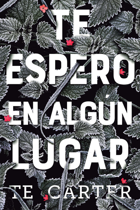  TE ESPERO EN ALGÚN LUGAR 