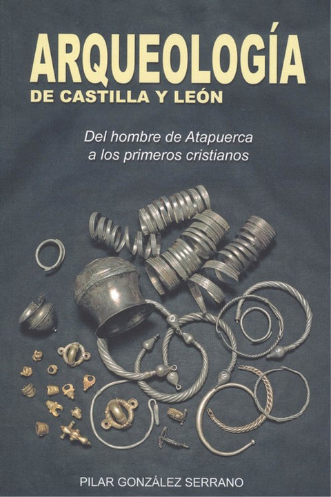  ARQUEOLOGÍA DE CASTILLA Y LEÓN 
