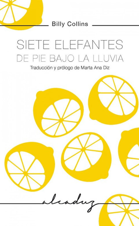  SIETE ELEFANTES DE PIE BAJO LA LLUVIA 