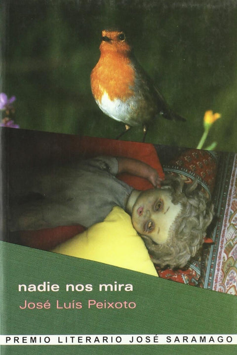  Nadie nos mira 