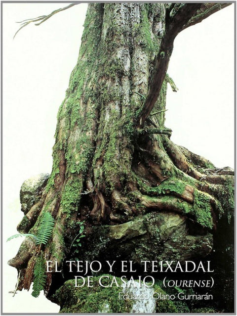  El tejo y teixadal de casaio 