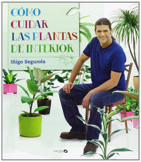  Como cuidar las plantas de interior 