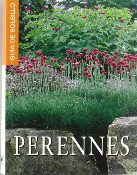  Perennes 