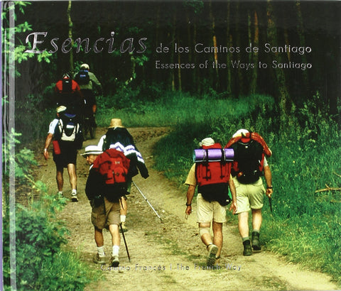  Camino francés 