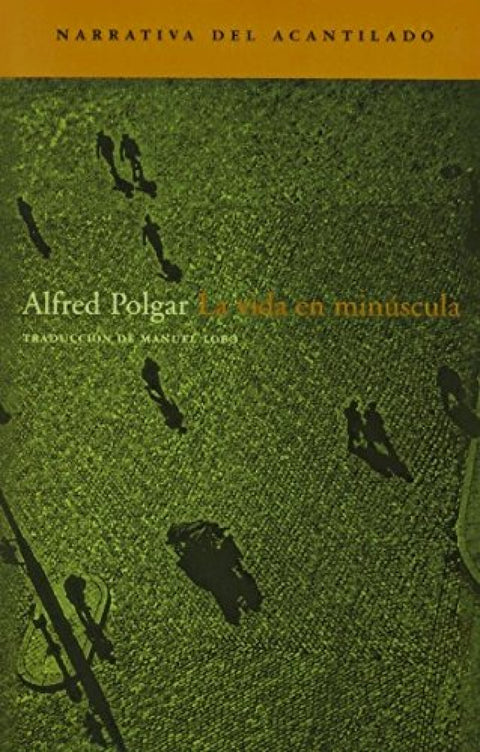  La vida en minúscula 