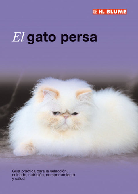  Gato persa 