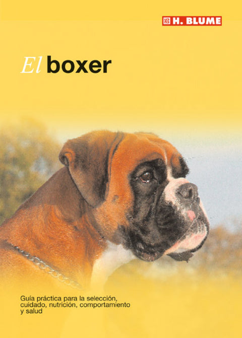  El boxer 