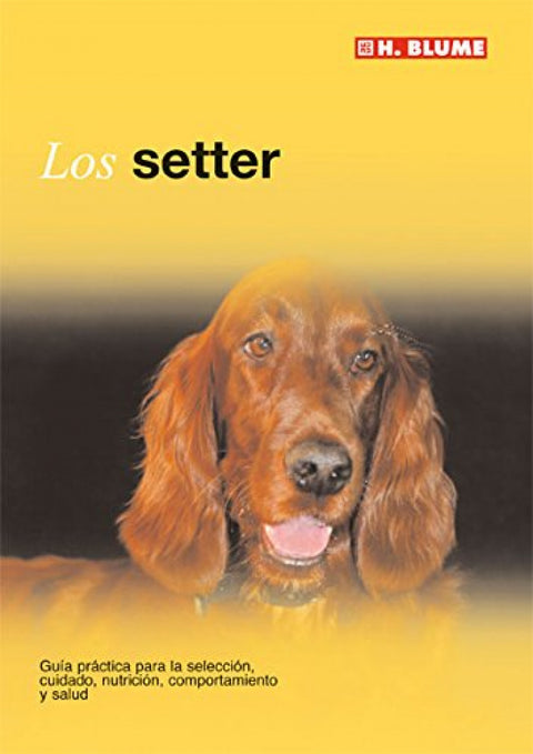  Setter 