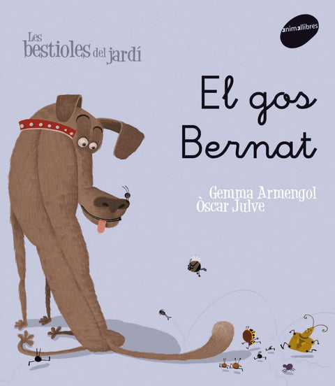  El gos Bernat 