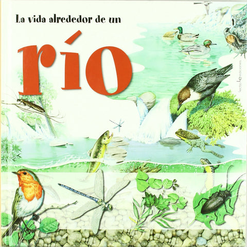  La vida alrededor de un río 