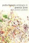  PEDRA FOGUERA ANTOLOGIA DE POESIA JOVE DELS PAISOS CATALANS 
