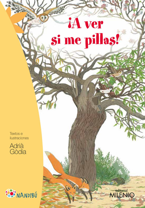 ¡A ver si me pillas! 