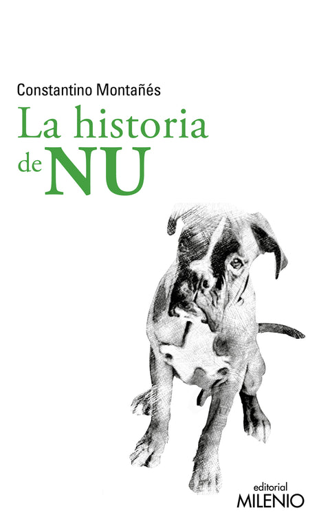  La historia de Nu 