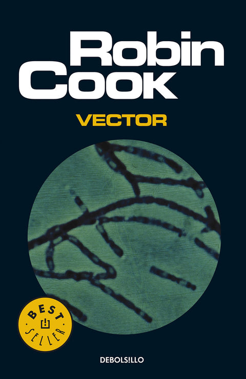  Vector 