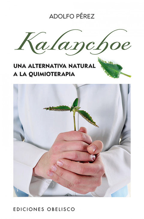  Kalanchoe 