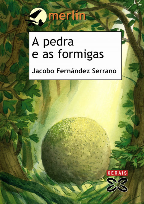  A pedra e as formigas 