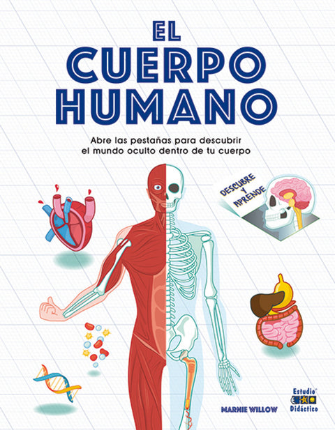  EL CUERPO HUMANO 