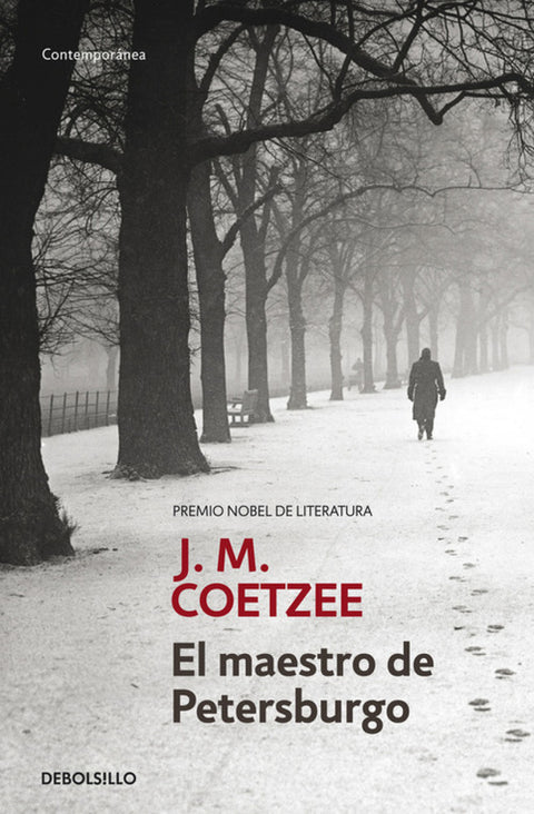  El maestro de Petersburgo 