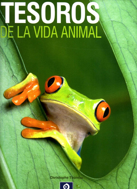  TESOROS DE LA VIDA ANIMAL 