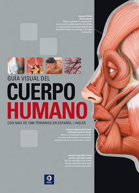  GUÍA VISUAL DEL CUERPO HUMANO 