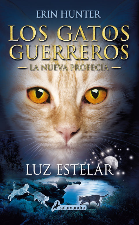  LUZ ESTELAR 