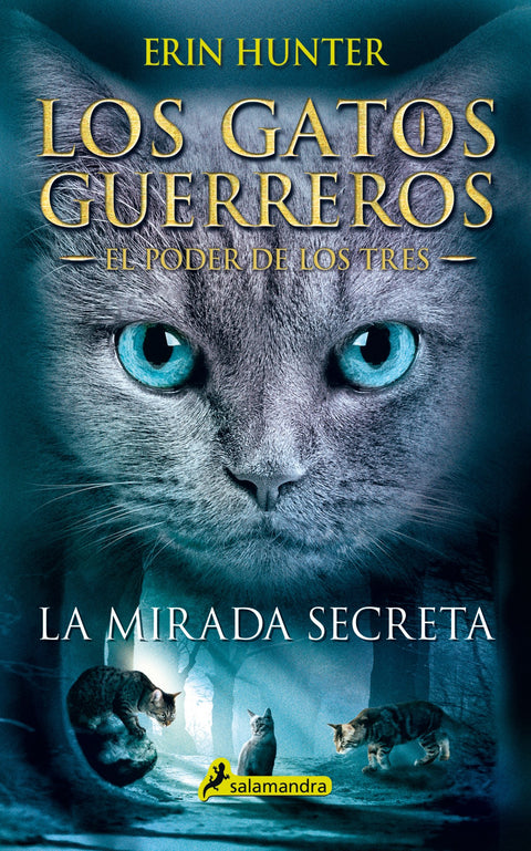  LA MIRADA SECRETA 
