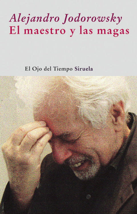  El maestro y las magas 