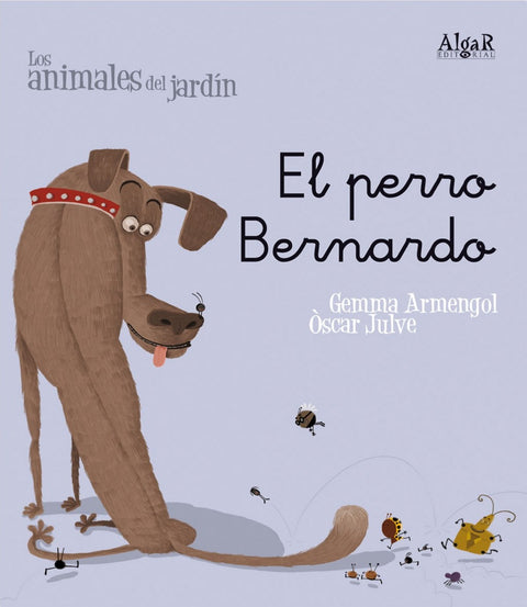 El perro bernardo 
