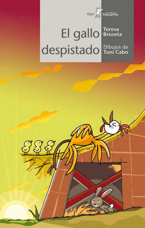  El gallo despistado 