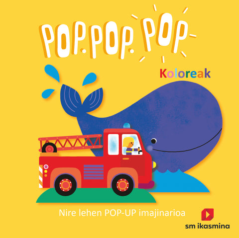  NLI. KOLOREAK 