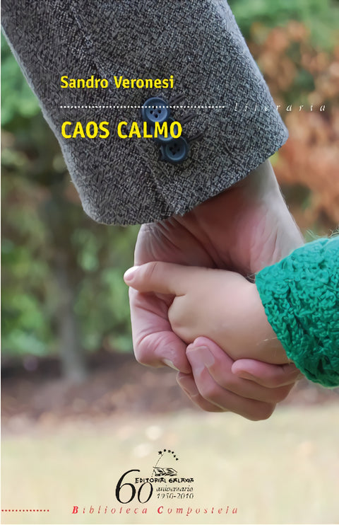  Caos calmo 