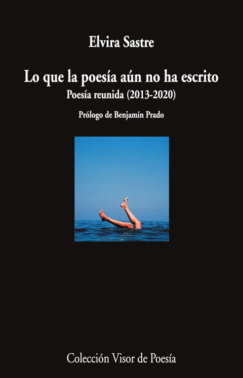  Lo que la poesía aún no ha escrito 