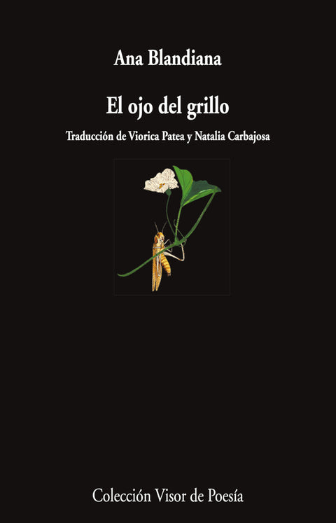  EL ojo del grillo 