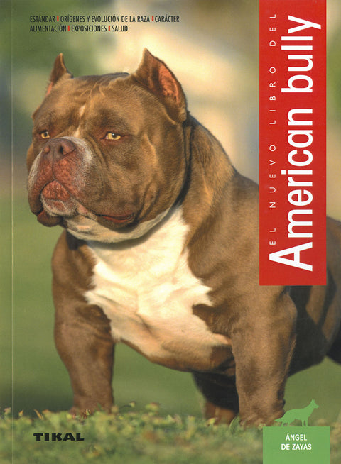  American bully 