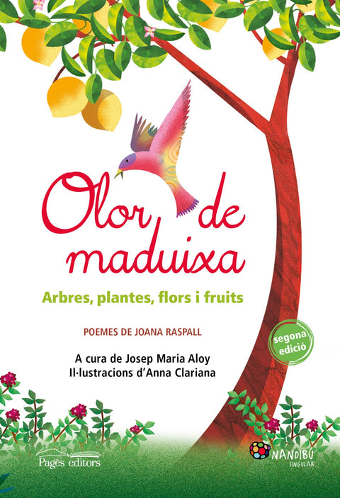  Olor de maduixa 