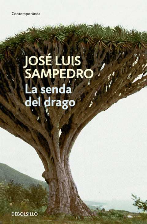  La senda del drago 