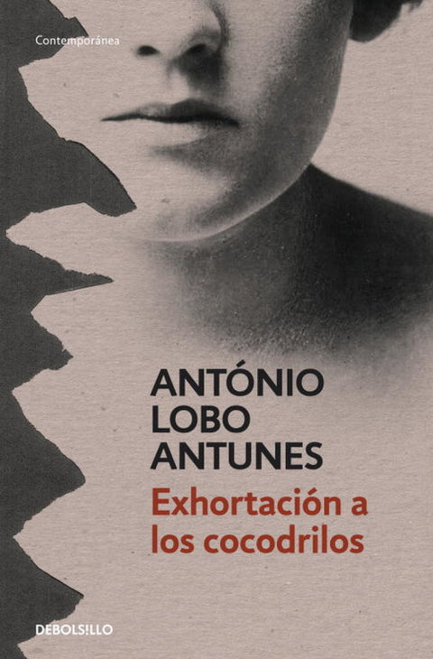  Exhortacion A Los Cocodrilos 