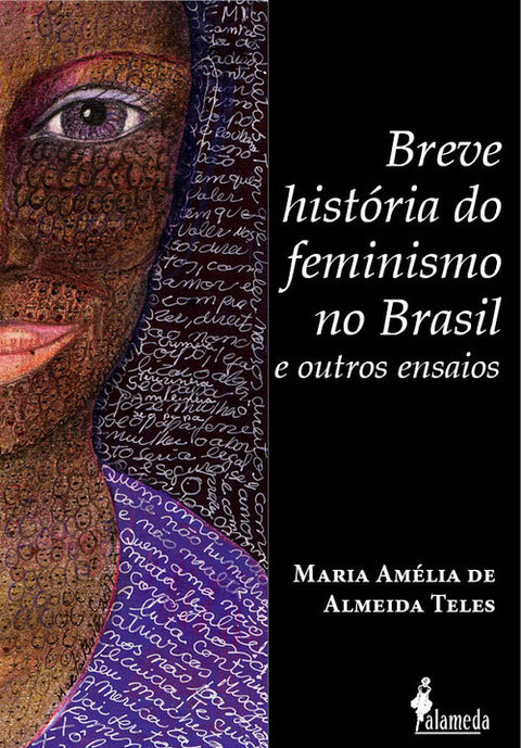  Breve história do feminismo no Brasil 