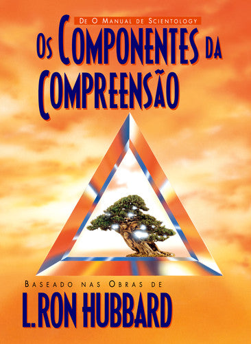  Os compomentes da compreensão 
