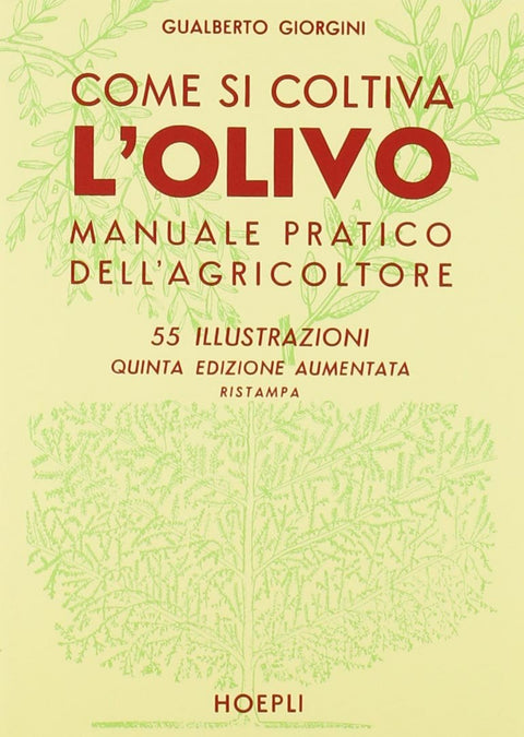  Come si coltiva l'olivo 