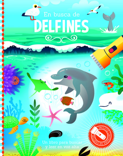  EN BUSCA DE LOS DELFINES 