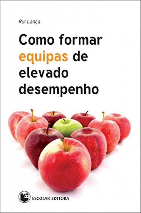  Como Formar Equipas de Elevado Desempenho 