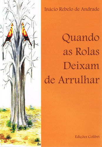  QUANDO AS ROLAS DEIXAM DE ARRULHAR 
