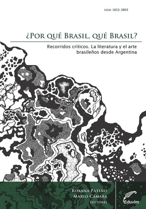  ¿Por qué Brasil, qué Brasil? Recorridos cr¡ticos 