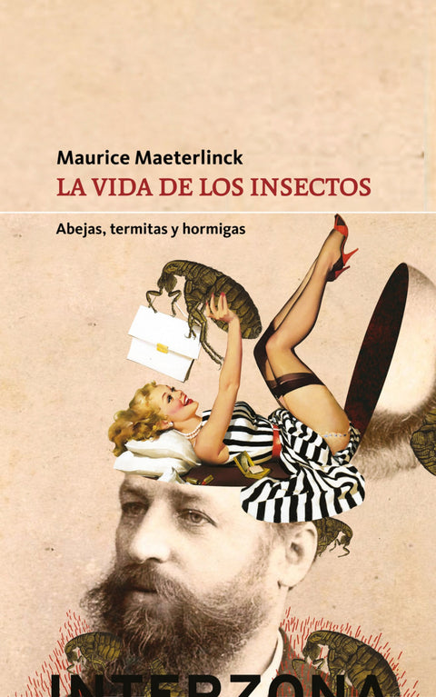  La vida de los insectos 