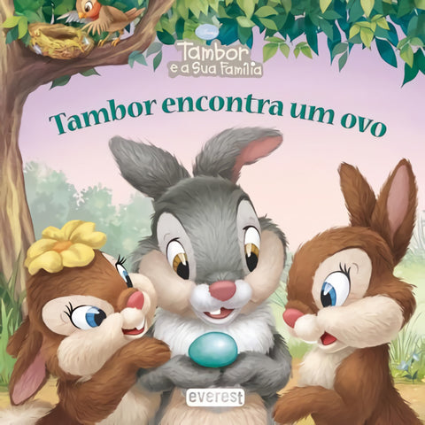  TAMBOR E A SUA FAMÍLIA: TAMBOR ENCONTRA UM OVO 